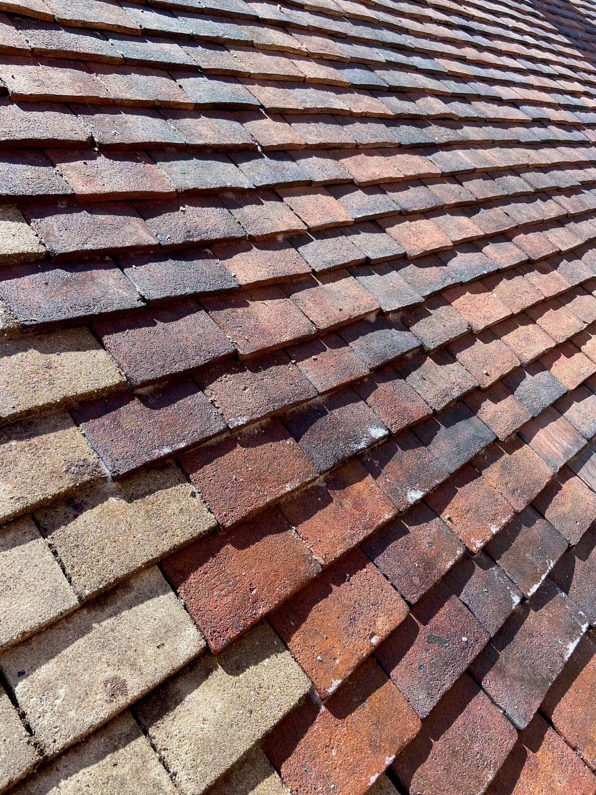 Roof tiles half cleaned — lower section beige and clean, upper section red with moss